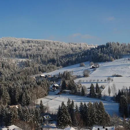 Goscinne Angelika * Wisła