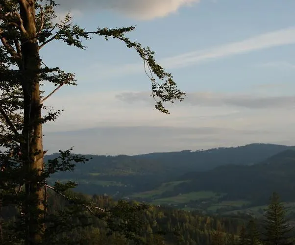 Goscinne Angelika בית אירוח ויסלאו