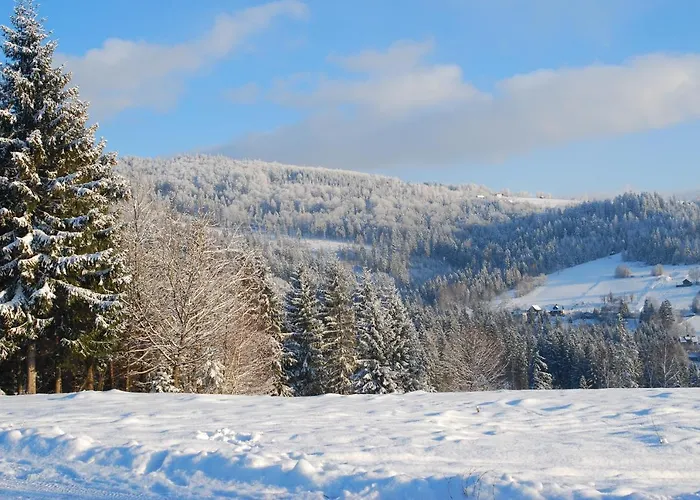 בית אירוח Goscinne Angelika *