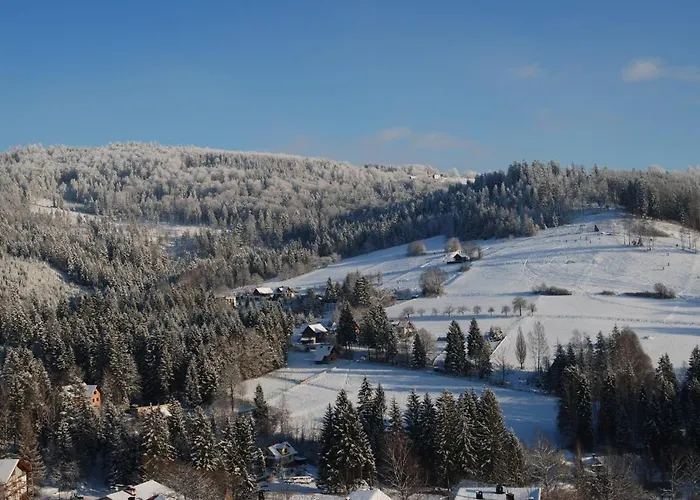 Goscinne Angelika * ויסלאו