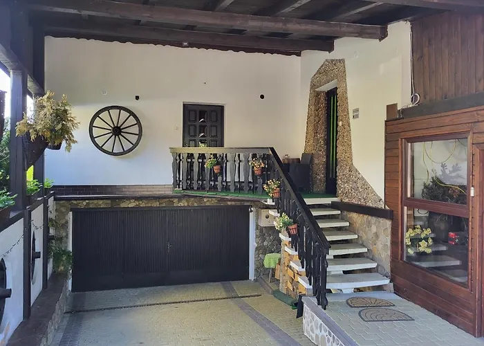 Goscinne Angelika ויסלאו